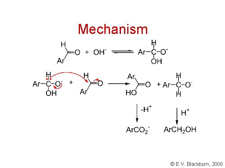 Mechanism © E. V. Blackburn, 2008 