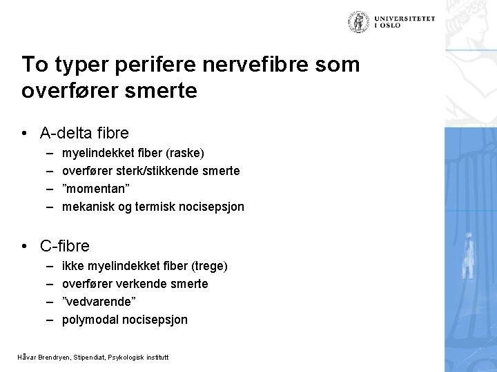 To typer perifere nervefibre som overfører smerte • A-delta fibre – – myelindekket fiber