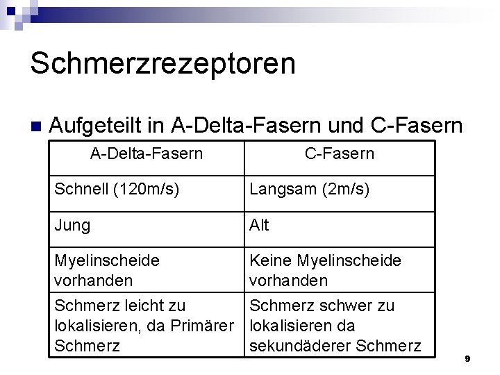 Schmerzrezeptoren n Aufgeteilt in A-Delta-Fasern und C-Fasern A-Delta-Fasern C-Fasern Schnell (120 m/s) Langsam (2