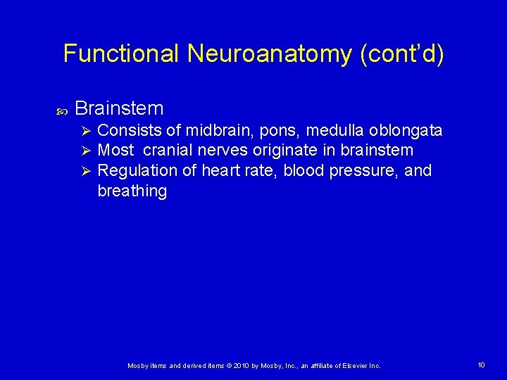 Functional Neuroanatomy (cont’d) Brainstem Ø Ø Ø Consists of midbrain, pons, medulla oblongata Most Functional Neuroanatomy (cont’d) Brainstem Ø Ø Ø Consists of midbrain, pons, medulla oblongata Most