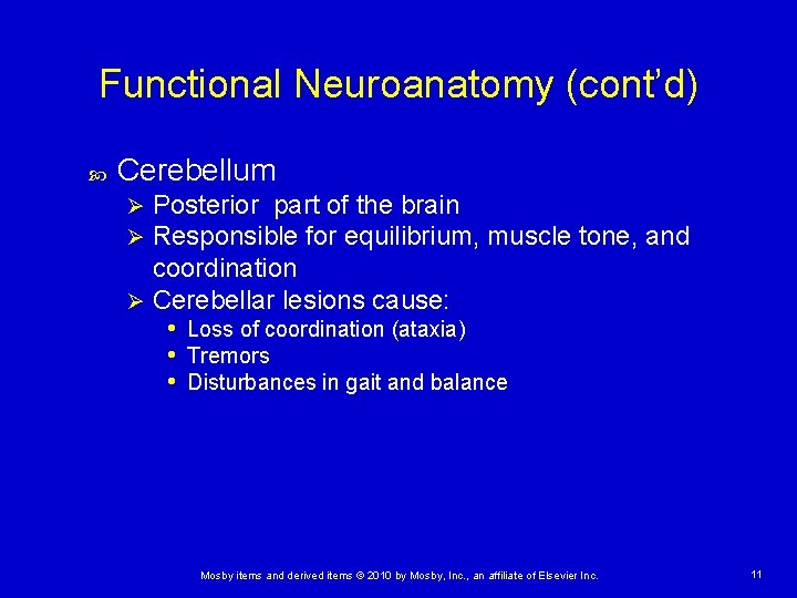 Functional Neuroanatomy (cont’d) Cerebellum Posterior part of the brain Responsible for equilibrium, muscle tone, Functional Neuroanatomy (cont’d) Cerebellum Posterior part of the brain Responsible for equilibrium, muscle tone,