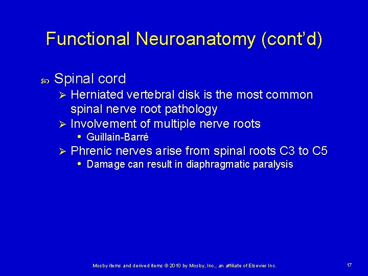 Functional Neuroanatomy (cont’d) Spinal cord Herniated vertebral disk is the most common spinal nerve