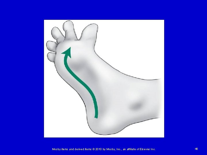 Mosby items and derived items © 2010 by Mosby, Inc. , an affiliate of Mosby items and derived items © 2010 by Mosby, Inc. , an affiliate of