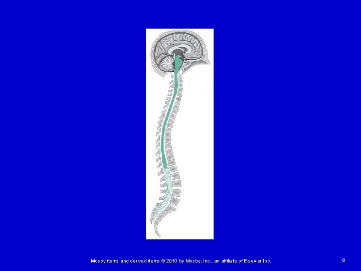 Mosby items and derived items © 2010 by Mosby, Inc. , an affiliate of Mosby items and derived items © 2010 by Mosby, Inc. , an affiliate of