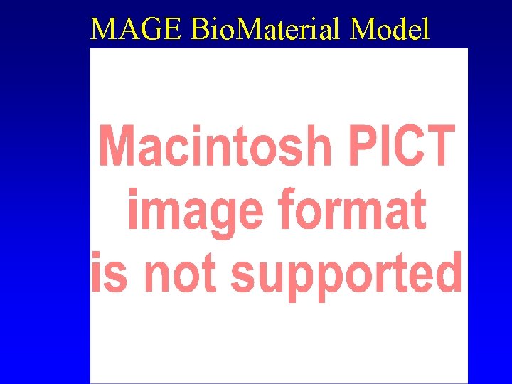 MAGE Bio. Material Model 