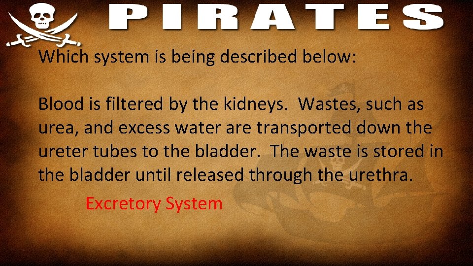 Which system is being described below: Blood is filtered by the kidneys. Wastes, such