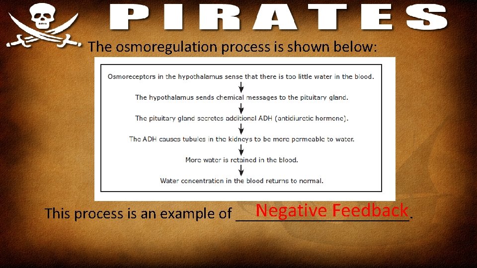 The osmoregulation process is shown below: Negative Feedback This process is an example of