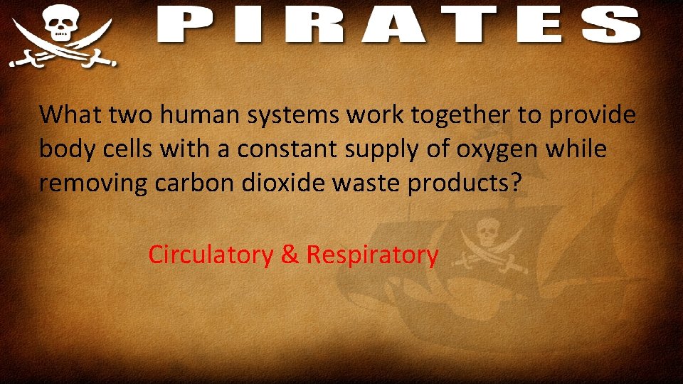 What two human systems work together to provide body cells with a constant supply