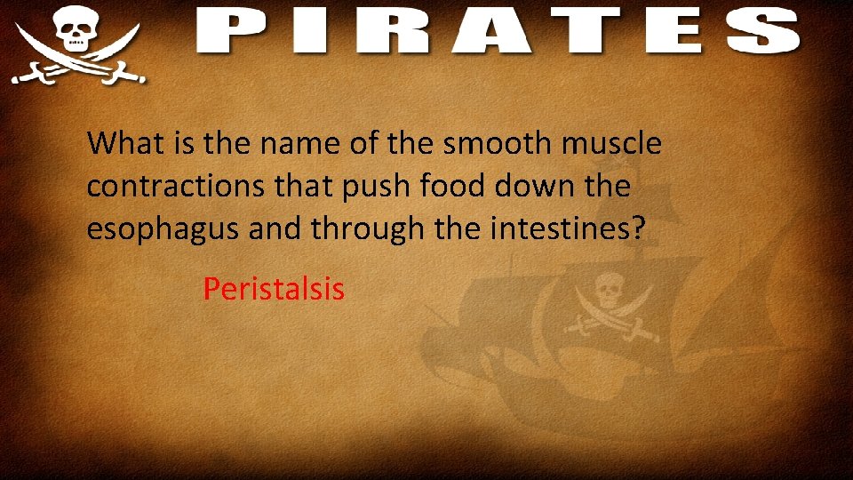 What is the name of the smooth muscle contractions that push food down the