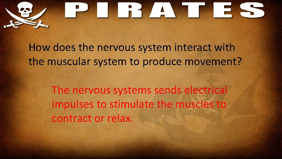 How does the nervous system interact with the muscular system to produce movement? The