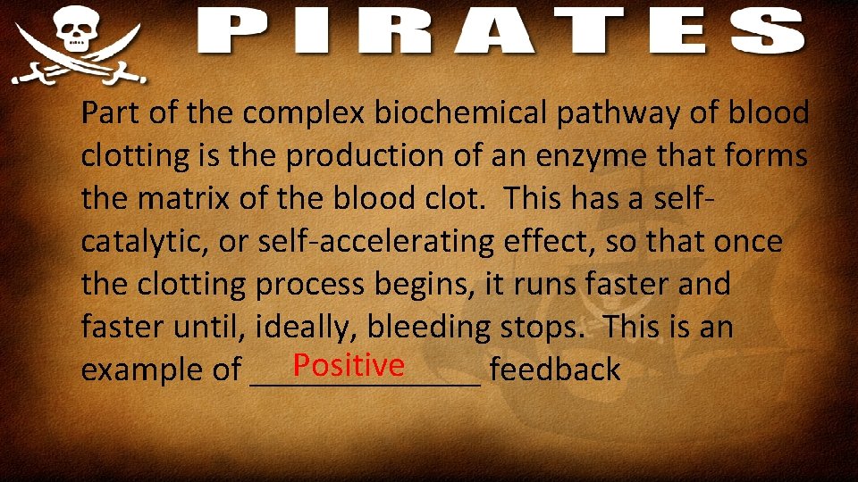 Part of the complex biochemical pathway of blood clotting is the production of an
