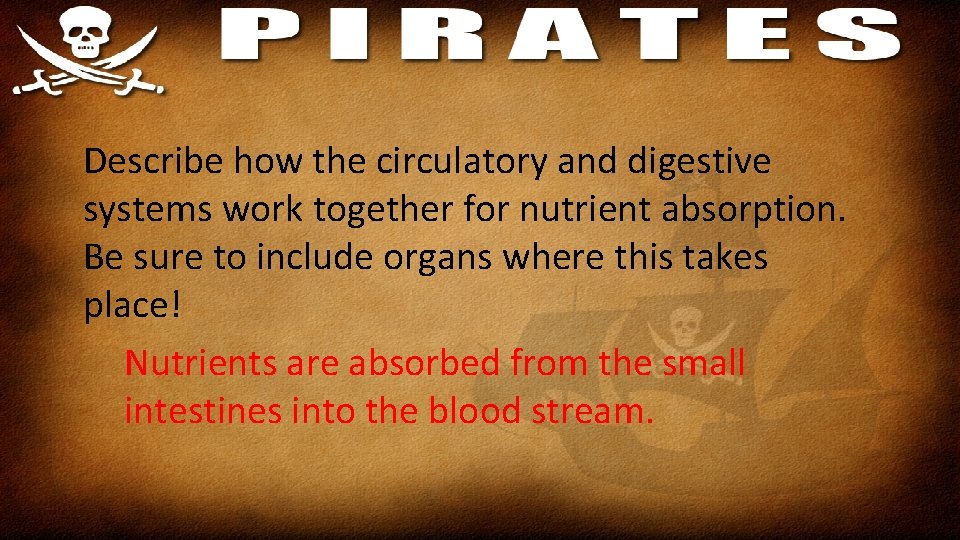 Describe how the circulatory and digestive systems work together for nutrient absorption. Be sure
