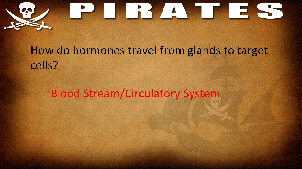 How do hormones travel from glands to target cells? Blood Stream/Circulatory System 