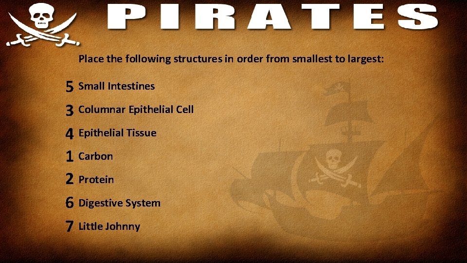 Place the following structures in order from smallest to largest: 5 Small Intestines 3