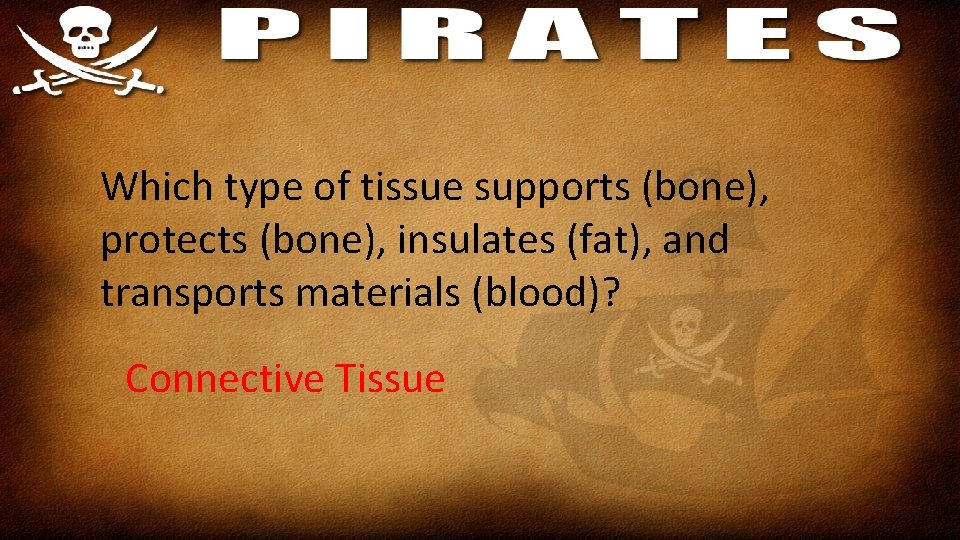 Which type of tissue supports (bone), protects (bone), insulates (fat), and transports materials (blood)?