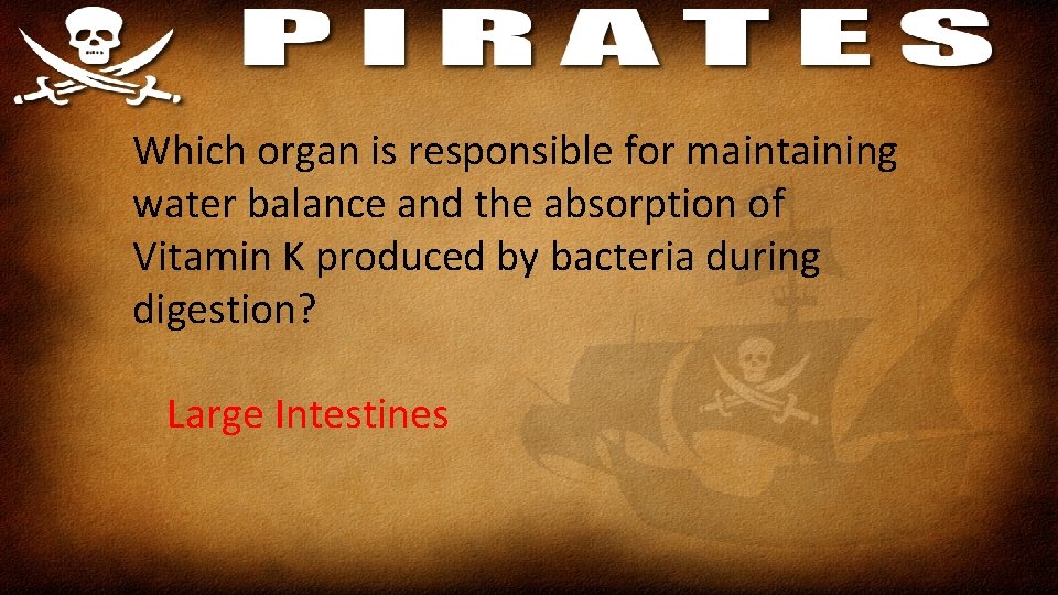 Which organ is responsible for maintaining water balance and the absorption of Vitamin K