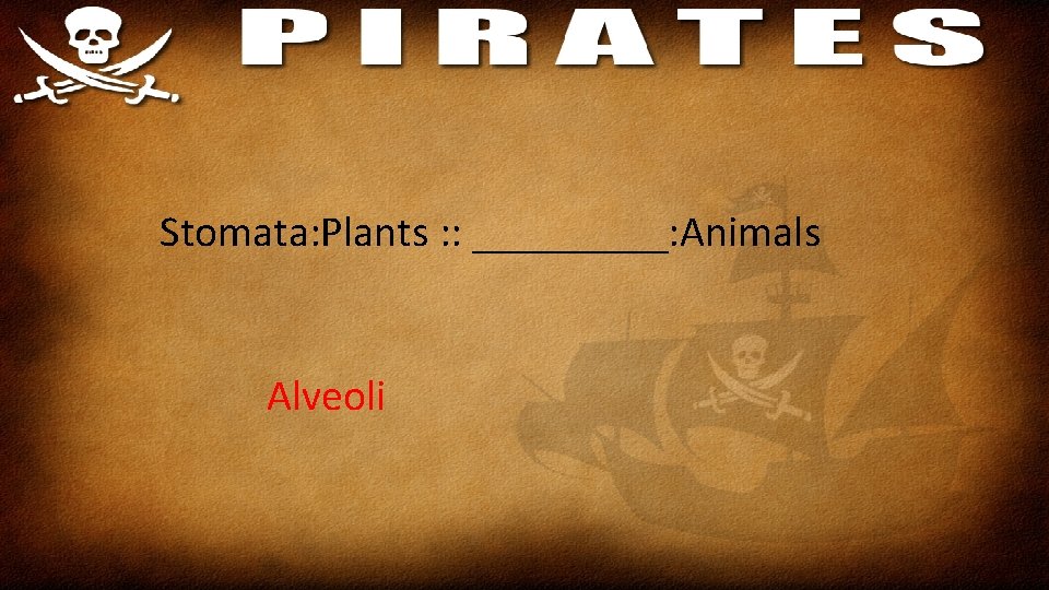Stomata: Plants : : _____: Animals Alveoli 