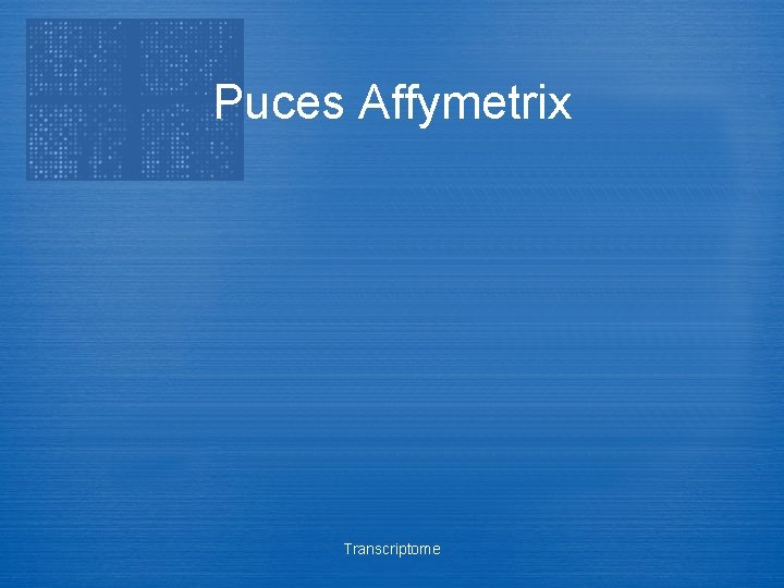 Puces Affymetrix Transcriptome 