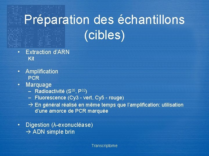 Préparation des échantillons (cibles) • Extraction d’ARN Kit • Amplification PCR • Marquage –