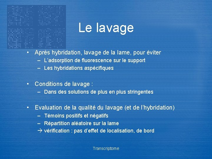 Le lavage • Après hybridation, lavage de la lame, pour éviter – L’adsorption de