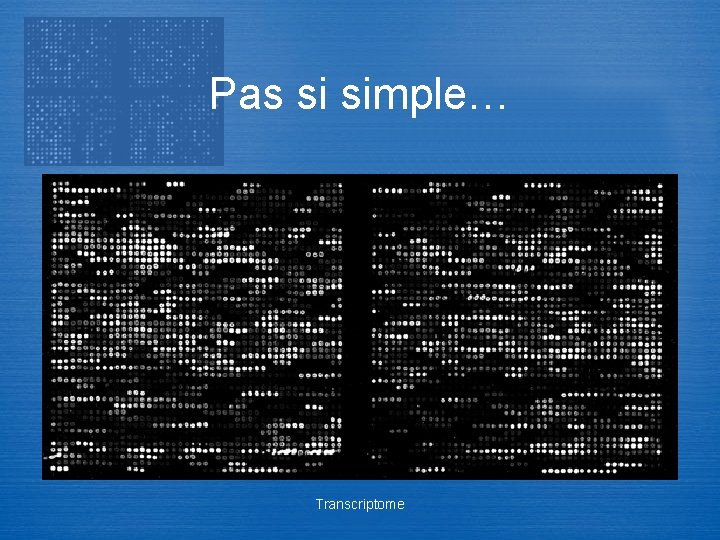 Pas si simple… Transcriptome 