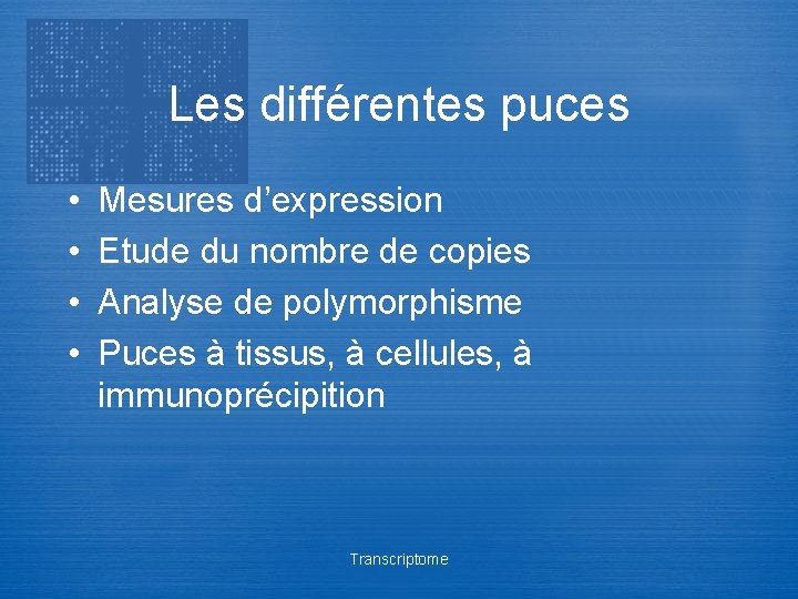 Les différentes puces • • Mesures d’expression Etude du nombre de copies Analyse de
