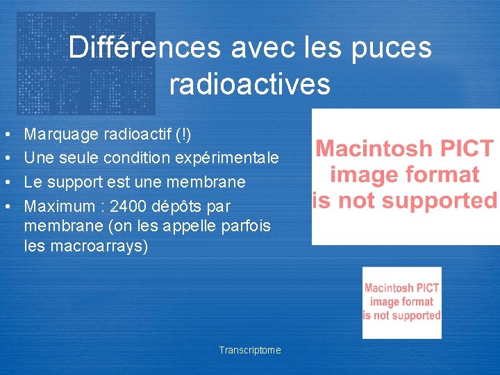 Différences avec les puces radioactives • • Marquage radioactif (!) Une seule condition expérimentale