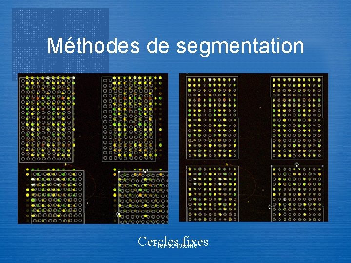 Méthodes de segmentation Cercles fixes Transcriptome 