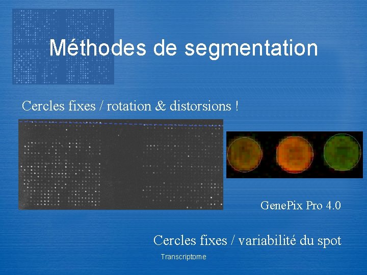 Méthodes de segmentation Cercles fixes / rotation & distorsions ! Gene. Pix Pro 4.