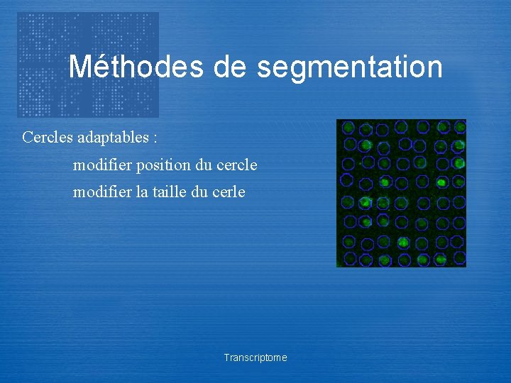 Méthodes de segmentation Cercles adaptables : modifier position du cercle modifier la taille du