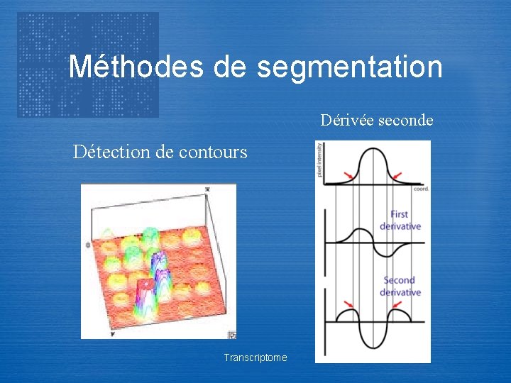 Méthodes de segmentation Dérivée seconde Détection de contours Transcriptome 