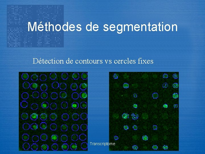 Méthodes de segmentation Détection de contours vs cercles fixes Transcriptome 