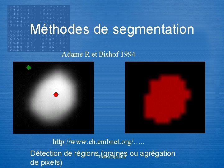 Méthodes de segmentation Adams R et Bishof 1994 http: //www. ch. embnet. org/…. .