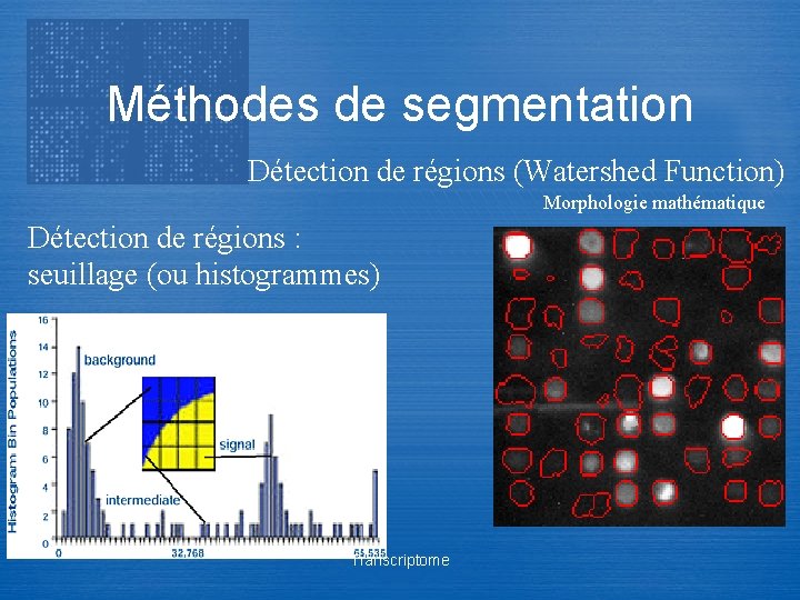 Méthodes de segmentation Détection de régions (Watershed Function) Morphologie mathématique Détection de régions :