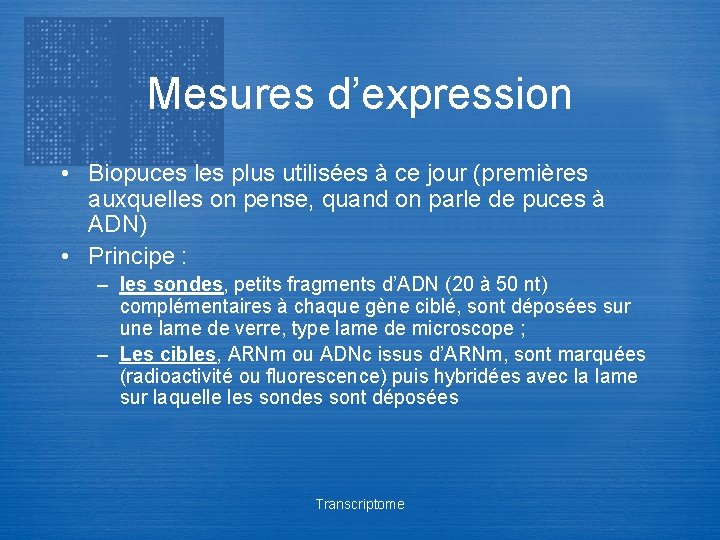 Mesures d’expression • Biopuces les plus utilisées à ce jour (premières auxquelles on pense,