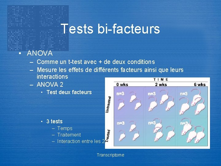 Tests bi-facteurs • ANOVA – Comme un t-test avec + de deux conditions –