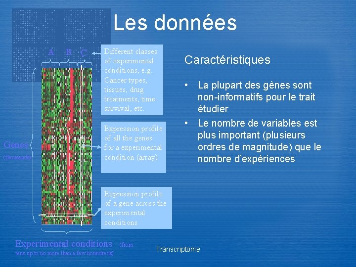Les données A Genes (thousands) B C Different classes of experimental conditions, e. g.