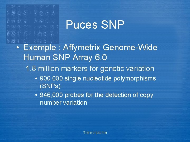 Puces SNP • Exemple : Affymetrix Genome-Wide Human SNP Array 6. 0 1. 8
