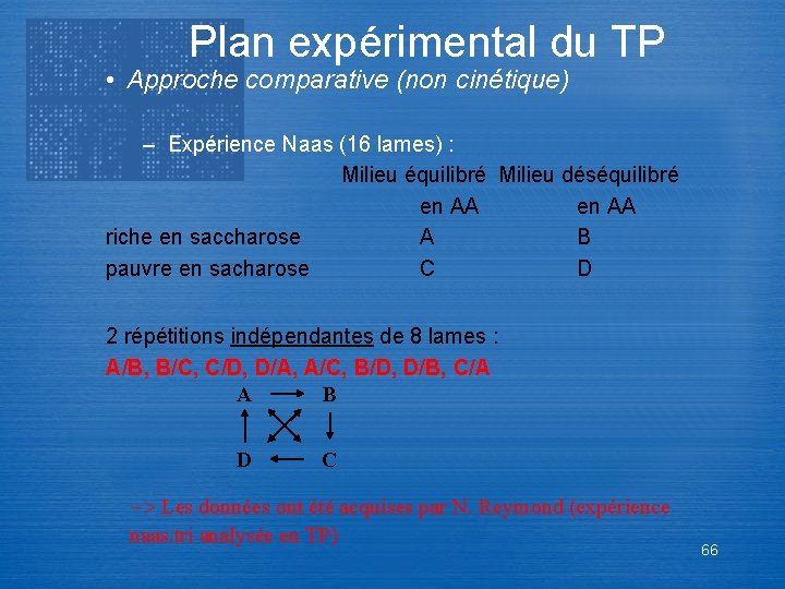 Plan expérimental du TP • Approche comparative (non cinétique) – Expérience Naas (16 lames)