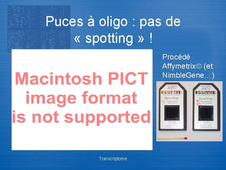 Puces à oligo : pas de « spotting » ! Procédé Affymetrix (et Nimble.