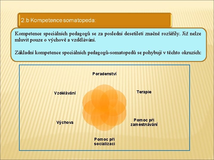 Kompetence speciálních pedagogů se za poslední desetiletí značně rozšířily. Již nelze mluvit pouze o