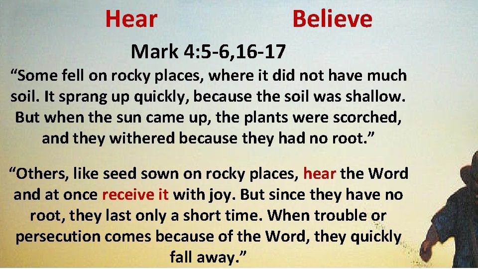 Hear Believe Mark 4: 5 -6, 16 -17 “Some fell on rocky places, where