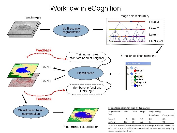 Workflow in e. Cognition Image object hierarchy Input images Level 3 Multiresolution segmentation Level