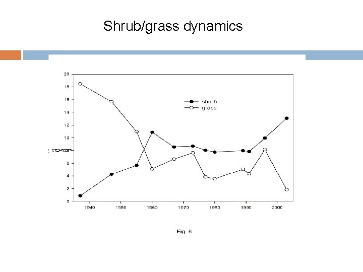 Shrub/grass dynamics 