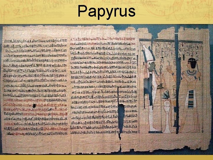 Papyrus 