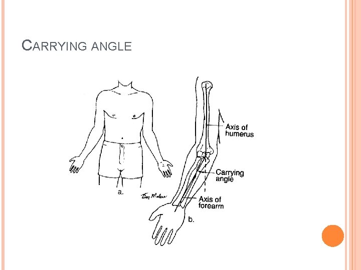 CARRYING ANGLE 