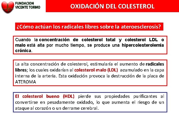 OXIDACIÓN DEL COLESTEROL ¿Cómo actúan los radicales libres sobre la ateroesclerosis? Cuando la concentración