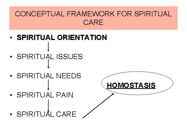 CONCEPTUAL FRAMEWORK FOR SPIRITUAL CARE • SPIRITUAL ORIENTATION • SPIRITUAL ISSUES • SPIRITUAL NEEDS