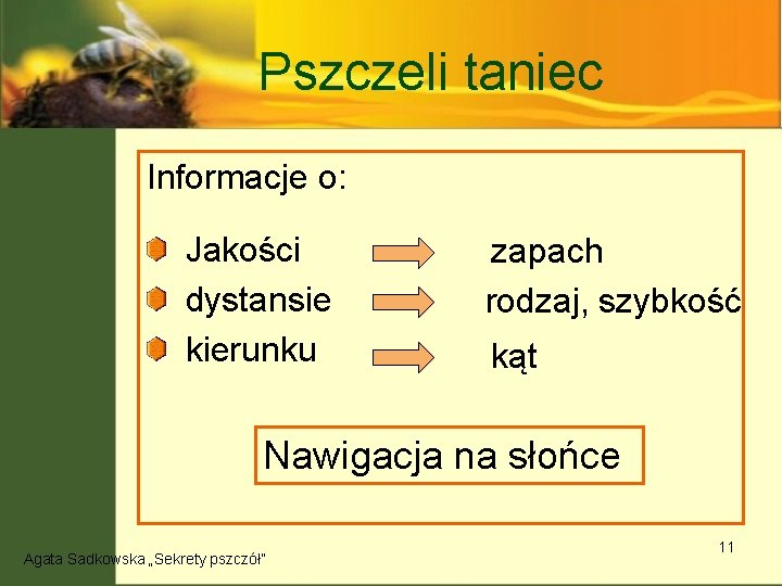Pszczeli taniec Informacje o: Jakości dystansie kierunku zapach rodzaj, szybkość kąt Nawigacja na słońce