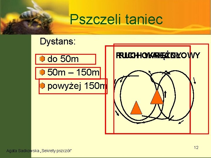 Pszczeli taniec Dystans: do 50 m – 150 m powyżej 150 m Agata Sadkowska